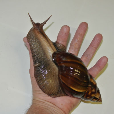 DSC_2392.jpg