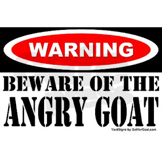 angry-goat.jpg