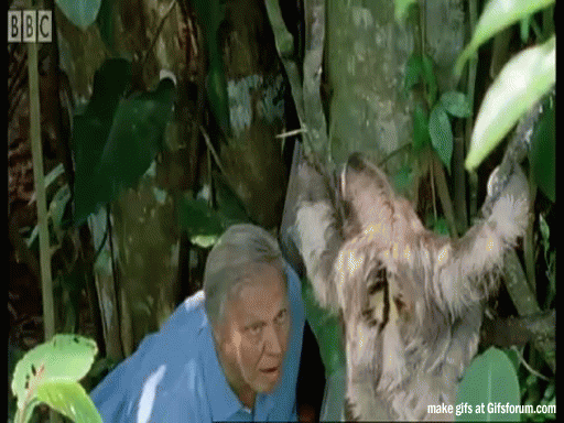 boosloth.gif
