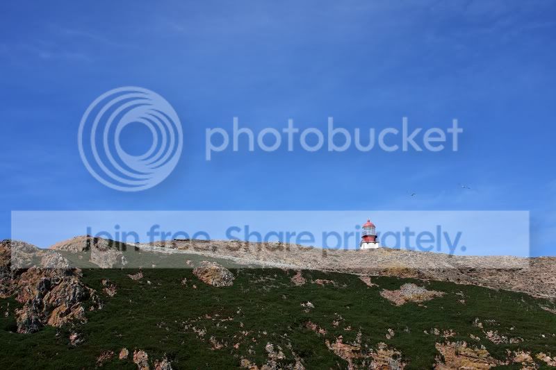 sized_IMG_2359.jpg