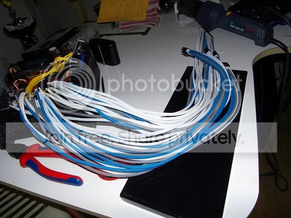 SDC10443.jpg