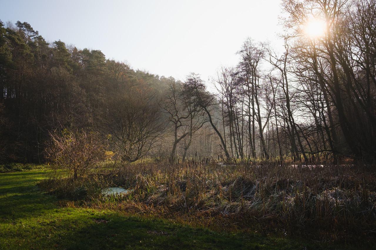 DSCF6039-X2.jpg