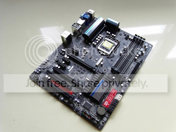 SDC11688.jpg