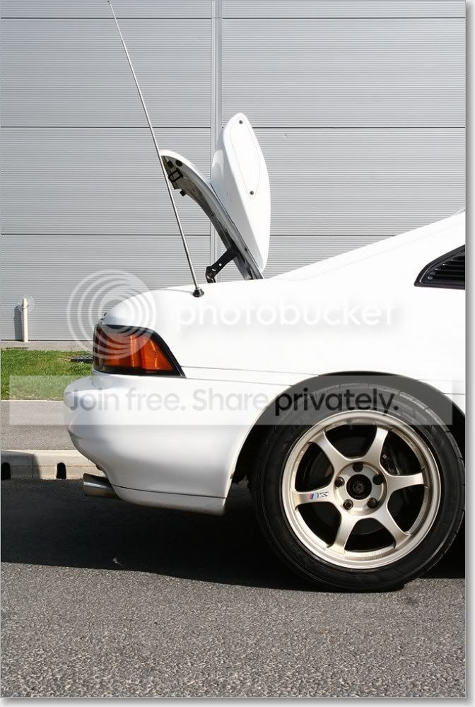 sized_IMG_6749.jpg