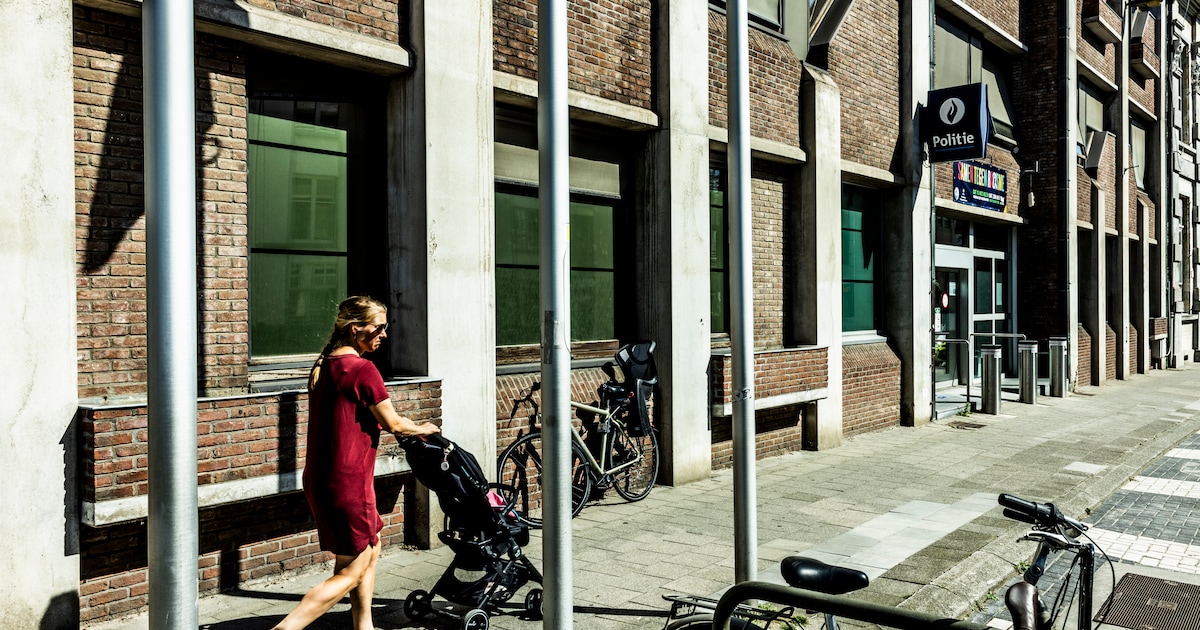 www.demorgen.be