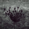 thegodsplanet.bandcamp.com