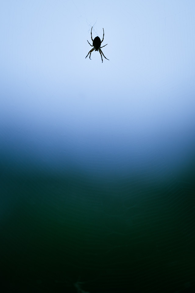 i-g4nwgqR-X2.jpg
