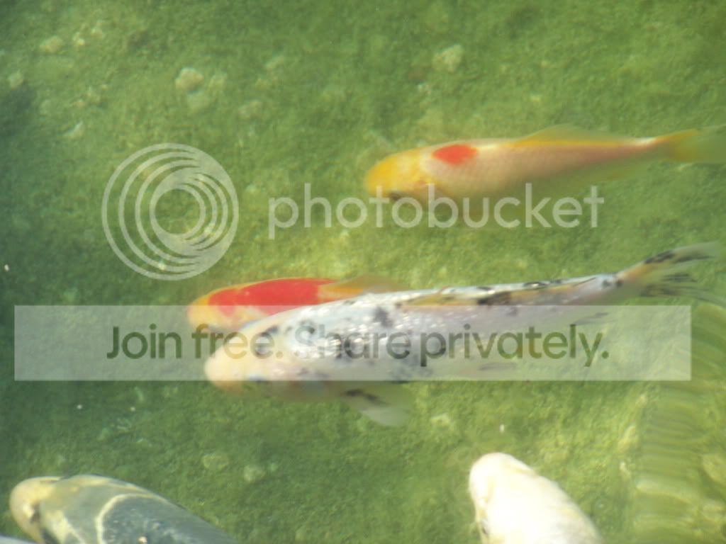 100_7389.jpg