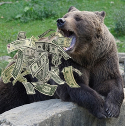 bear-money.jpg