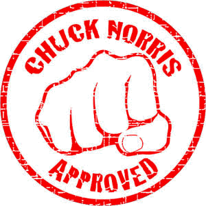 ChuckNorrisApproved.gif