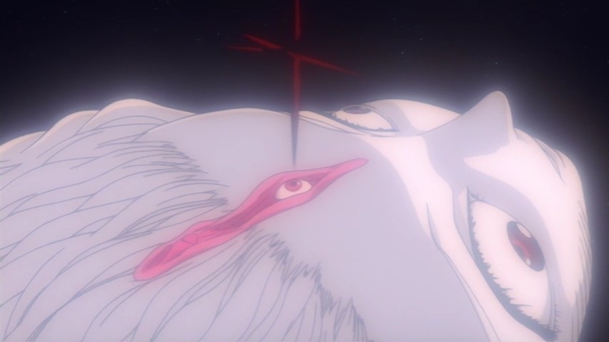 huge-gaping-vagina.jpg