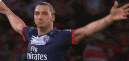 Ibrahimovic2.gif