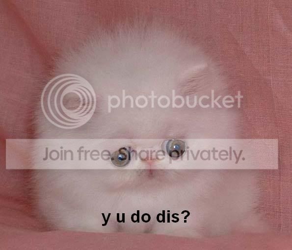 494_sad_kitty.jpg