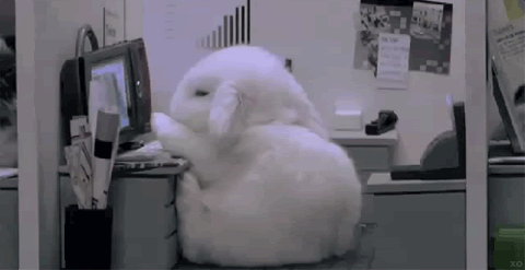 tumblr_lymjszWhlR1qm0f6to1_500.gif