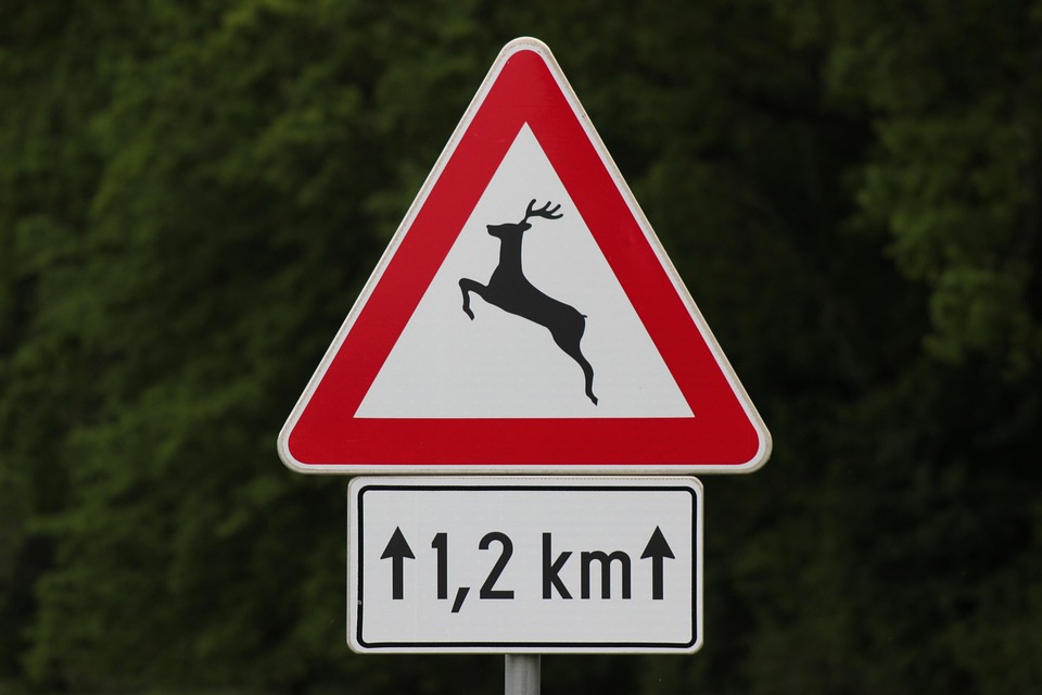 traffic-sign-2291081_960_720.jpg