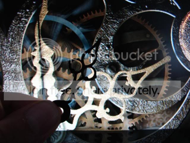 DSC04215.jpg