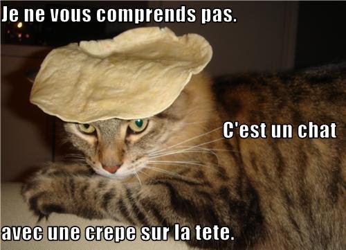cat-crepe.jpg