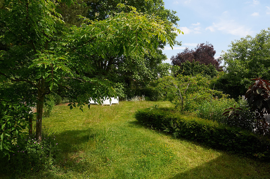 p608464073-5.jpg