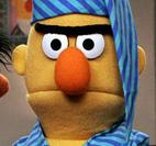 bert.jpg