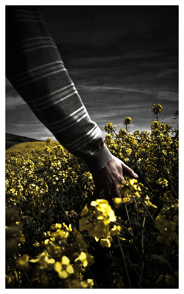 Tom_and_the_Flowers_by_mightyflup.jpg