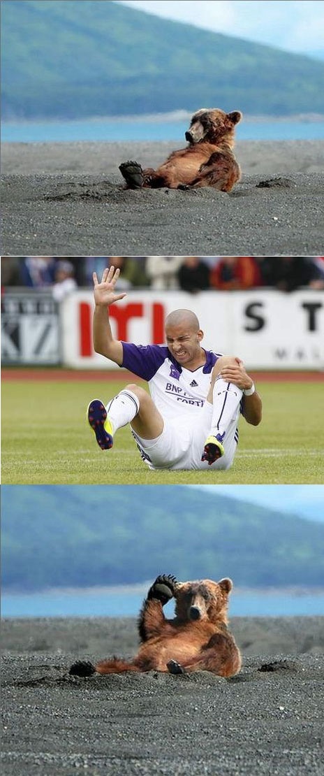 full.jpg
