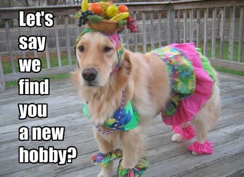 UnhappyDog.jpg