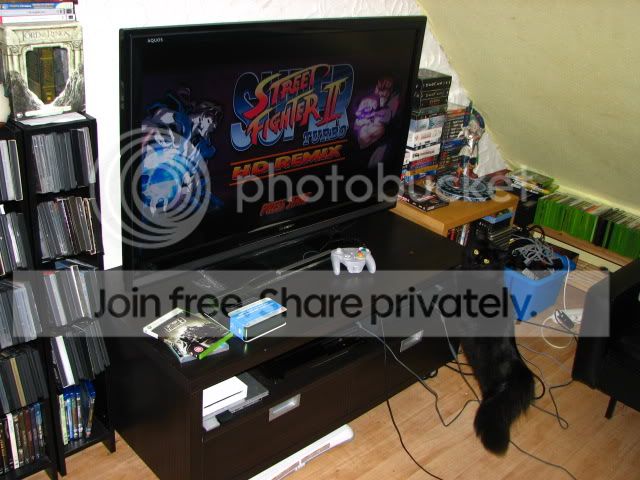 IMG_4285.jpg