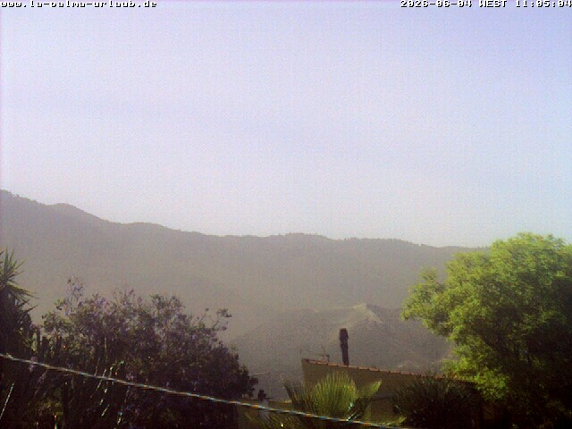 cam2.jpg
