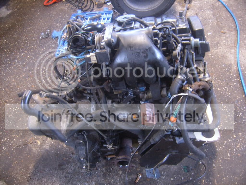SUC53935.jpg