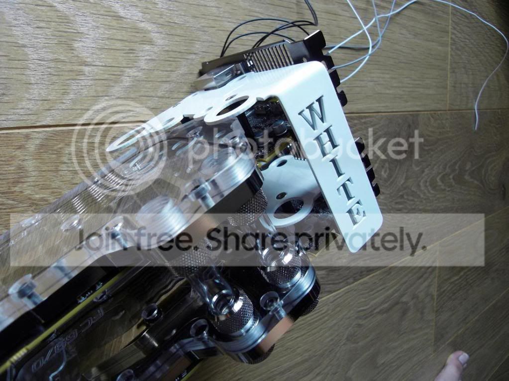 SDC10419.jpg