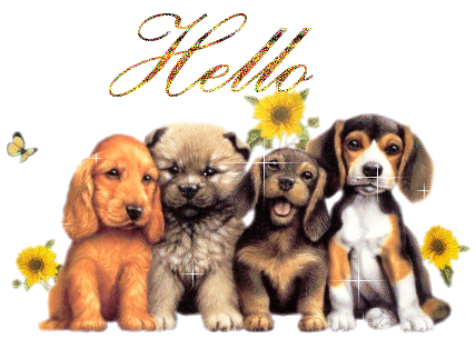 animaatjes-hello-9116744.gif