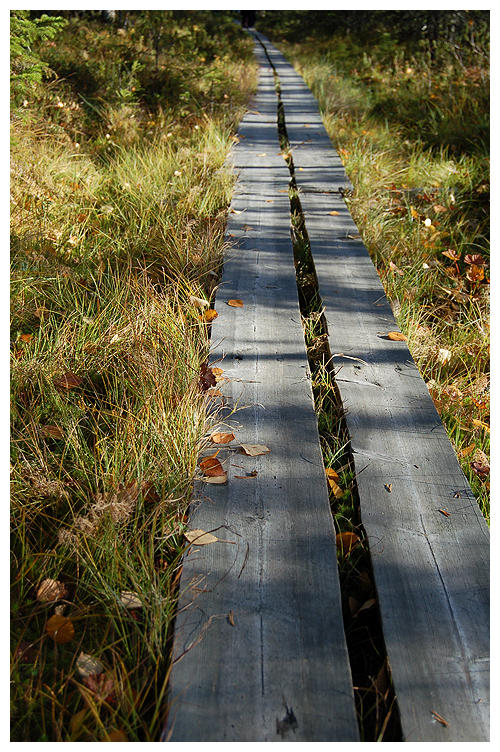 Walk_on_by_crepin.jpg