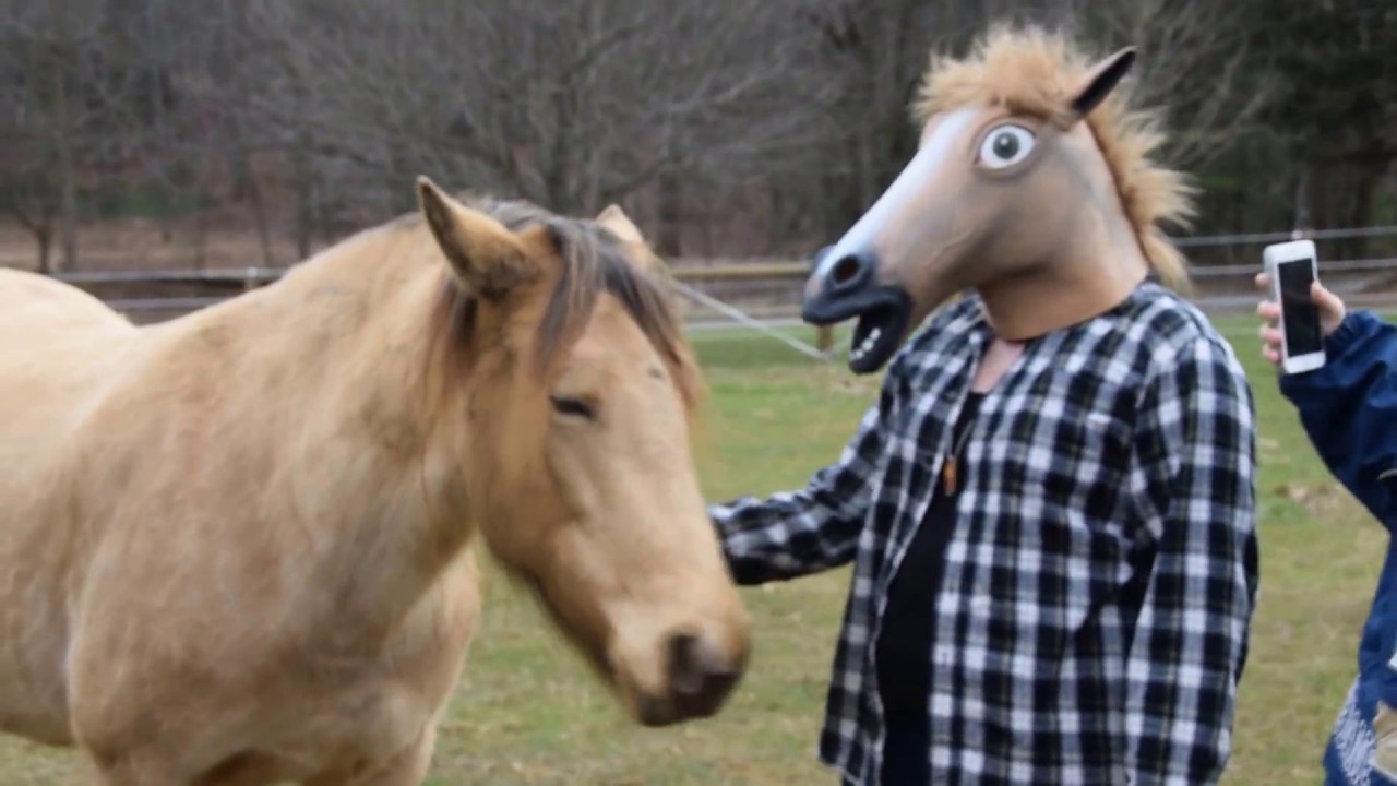 maxresdefault.jpg