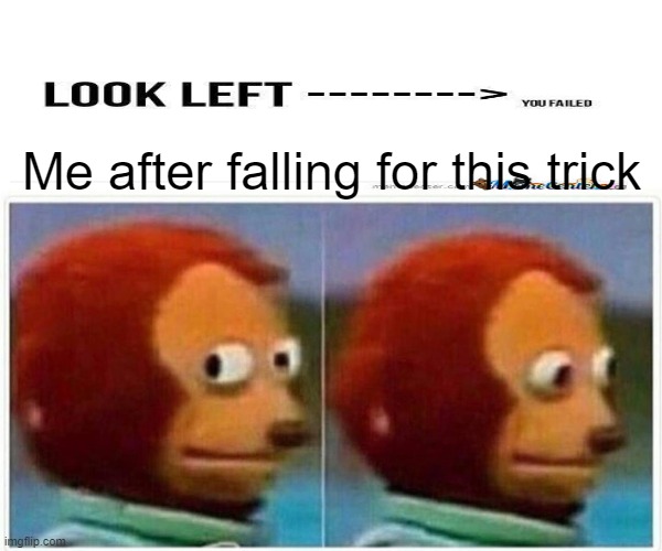 574wt3.jpg