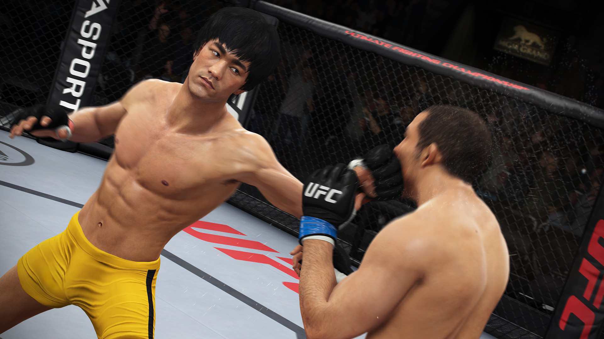 2499324-bruce_lee.jpg