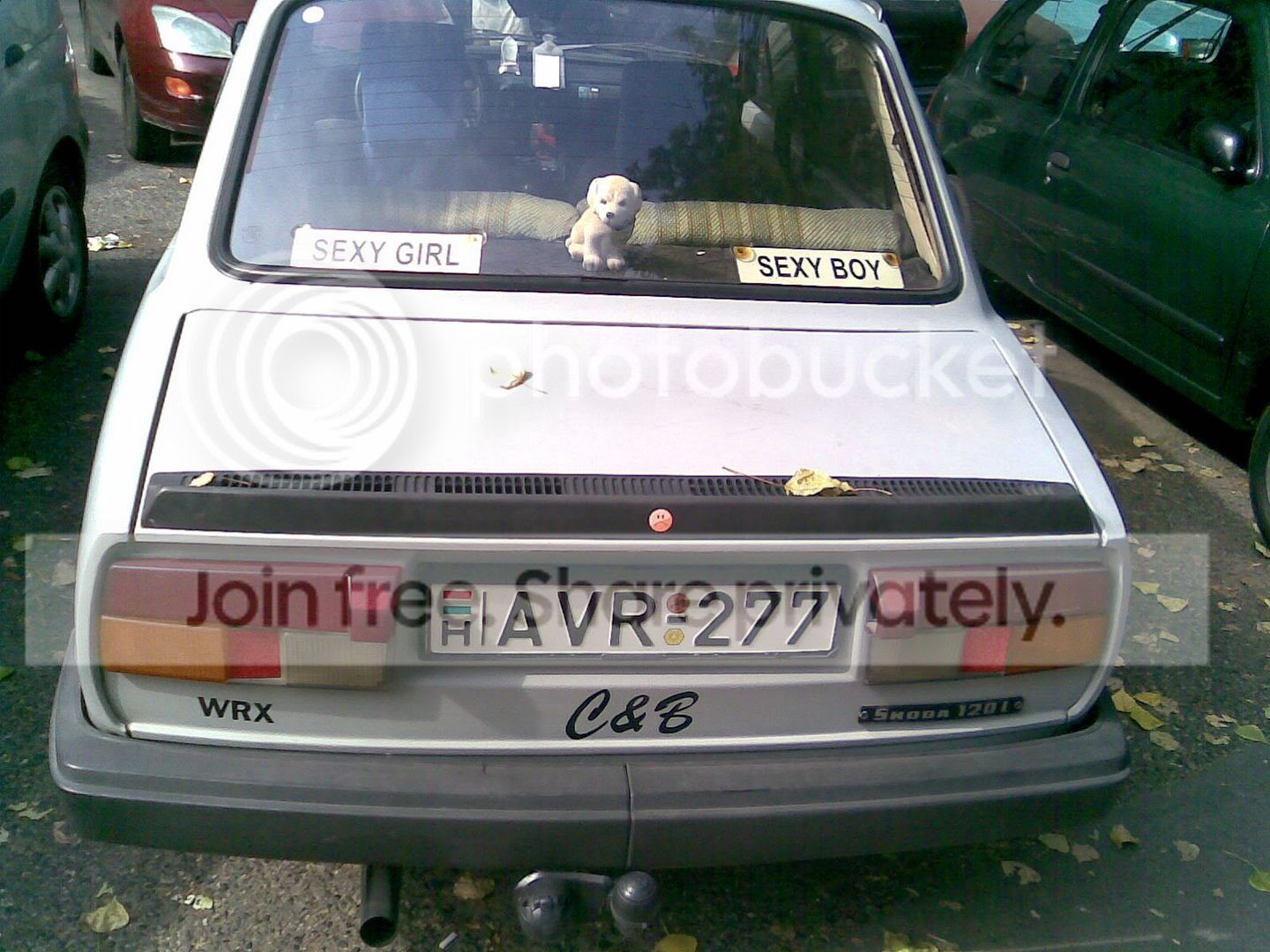 Kwertie-164.jpg