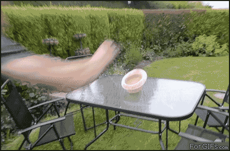 tumblr_m9gf7aDfwB1rvupgto1_r1_500.gif