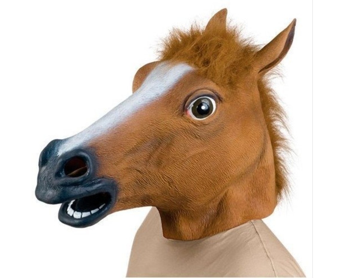 paardenmasker.jpg