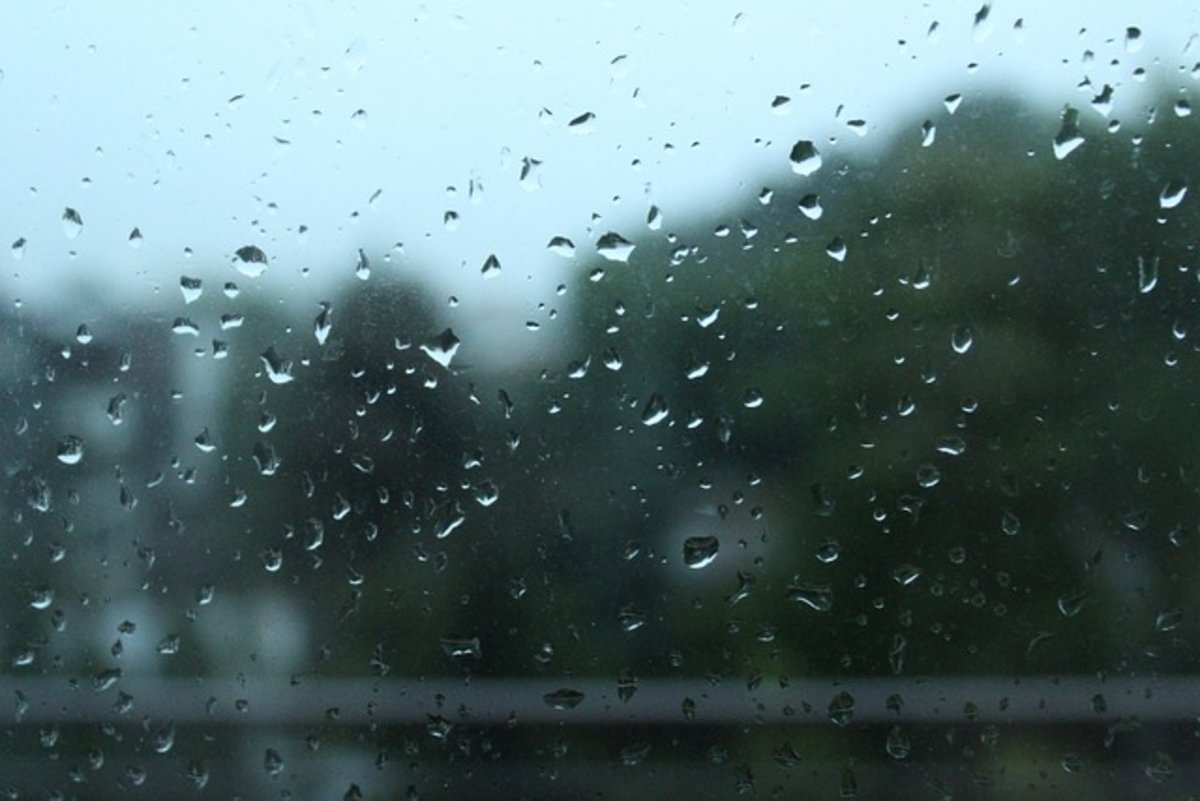 www.meteo.be