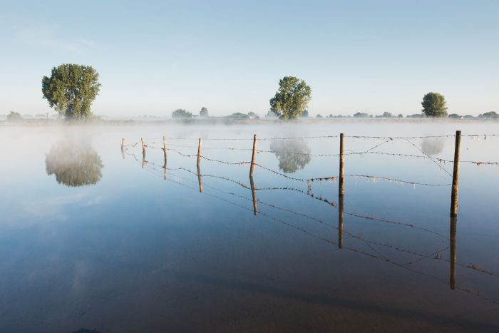 reflectie-maas-windstil-4672-700x467.jpg