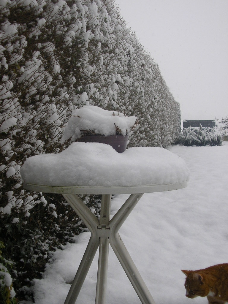 13120123018445.jpg