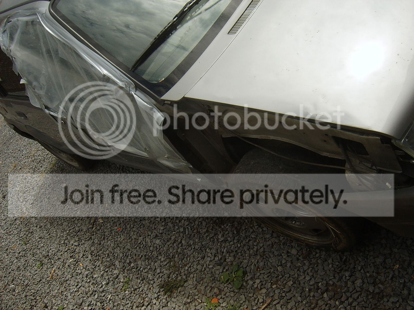 SUC52093.jpg