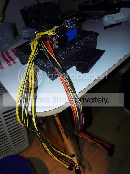 SDC10426.jpg