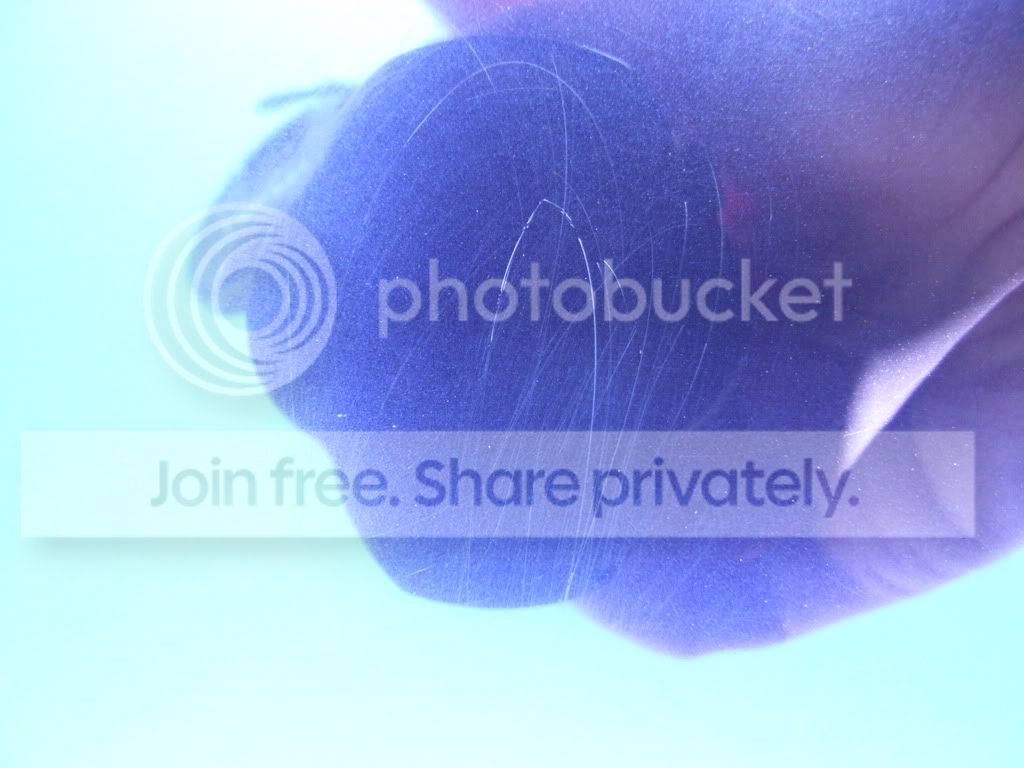 DSCF8343.jpg