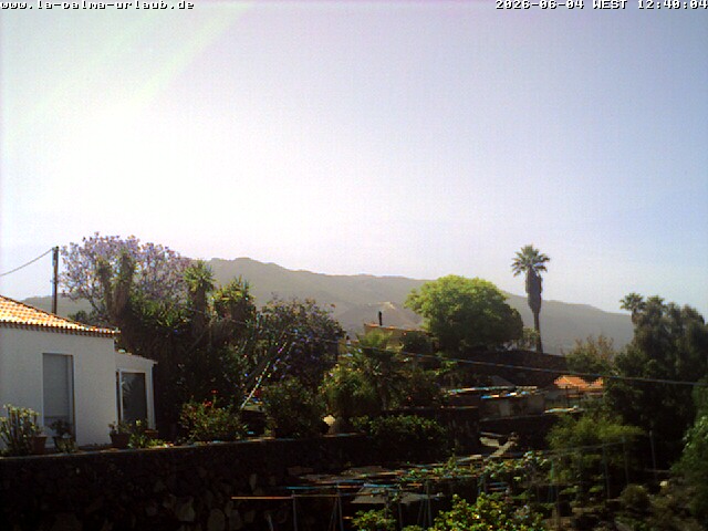 cam1.jpg