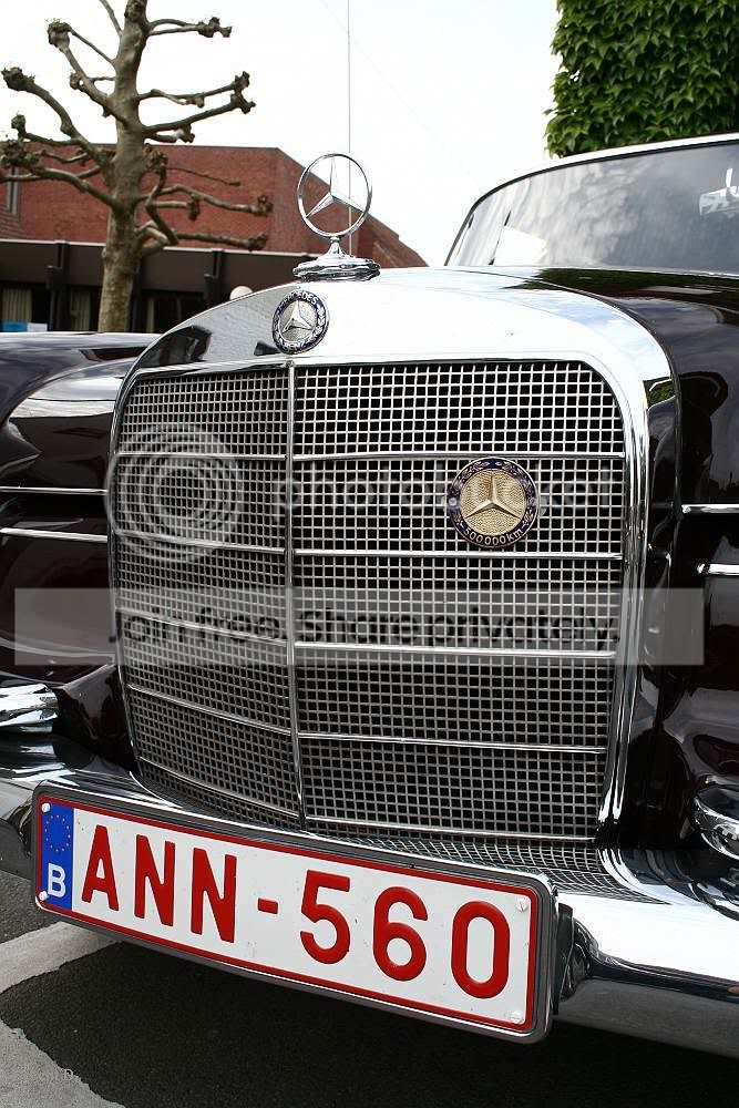 sized_IMG_7164.jpg