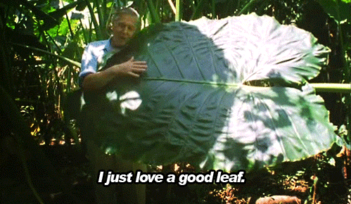 tumblr_mka3v2mXRL1rc05ifo1_500.gif