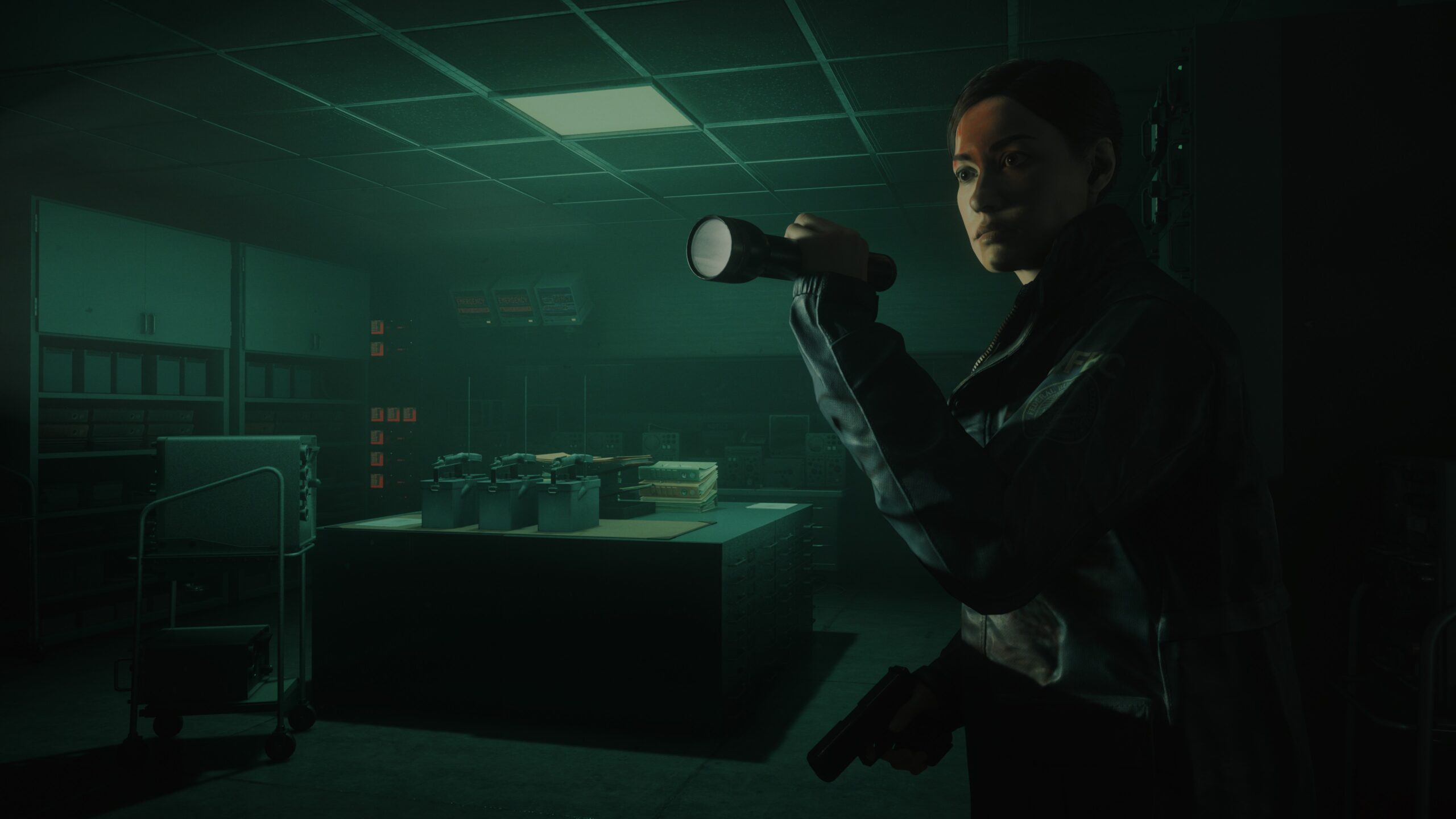 www.alanwake.com