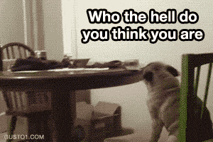 tumblr_mdhodi9cnn1rp9l4bo1_400.gif