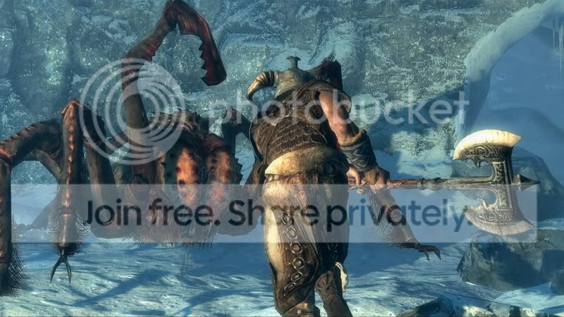 Skyrim_screenshots_14_SpiderHero.jpg